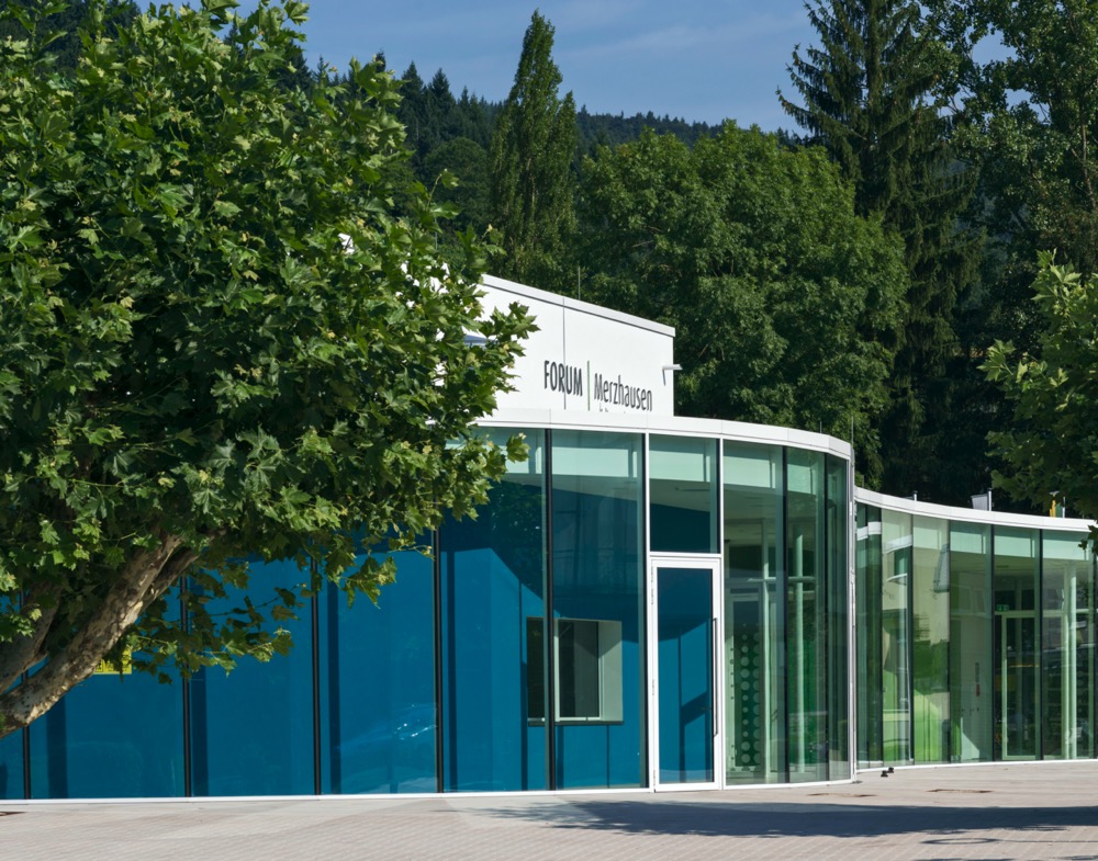 FORUM Bernhard Strauss 008 Kopie 3